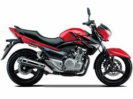 ##GSR 250 デュアルマフラーチタン風? ラウンドタイプ スリップオンマフラー ステンレス/チタン（JMCA認証