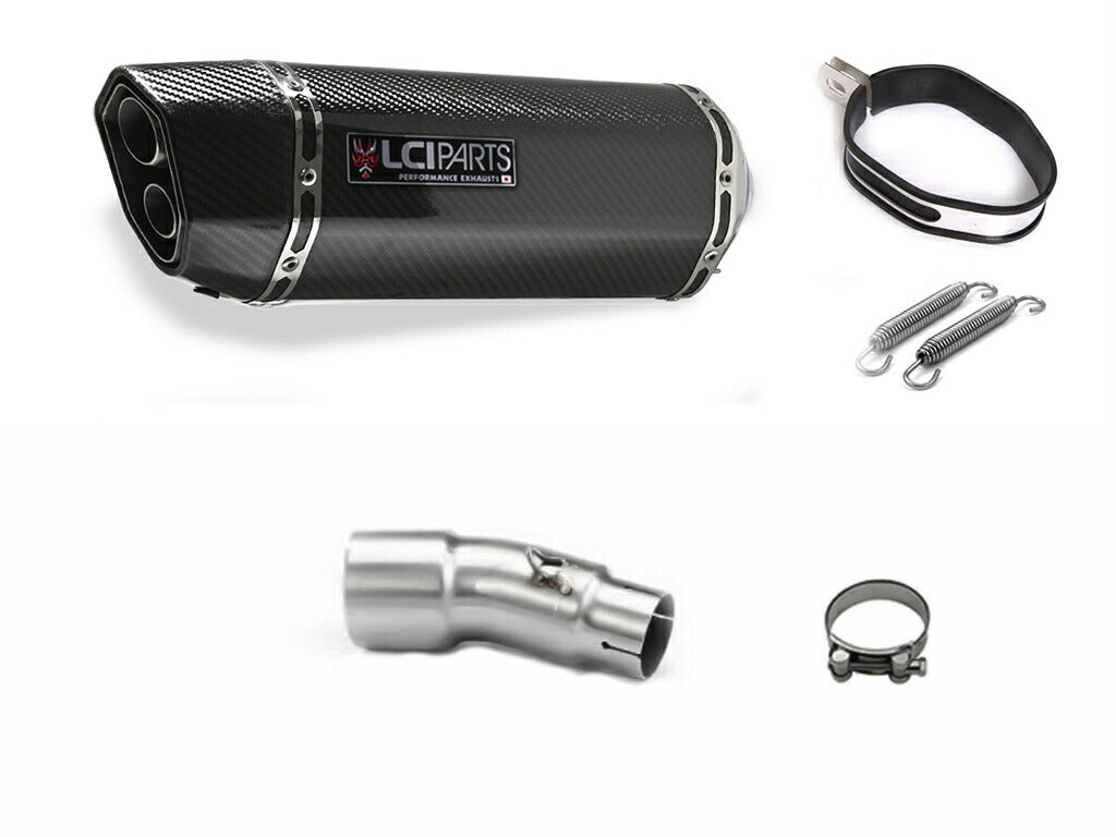 カワサキ NINJA250R ニンジャ250R 2008-2012 LCIPARTS ツインエンド カーボン スリップオンマフラー