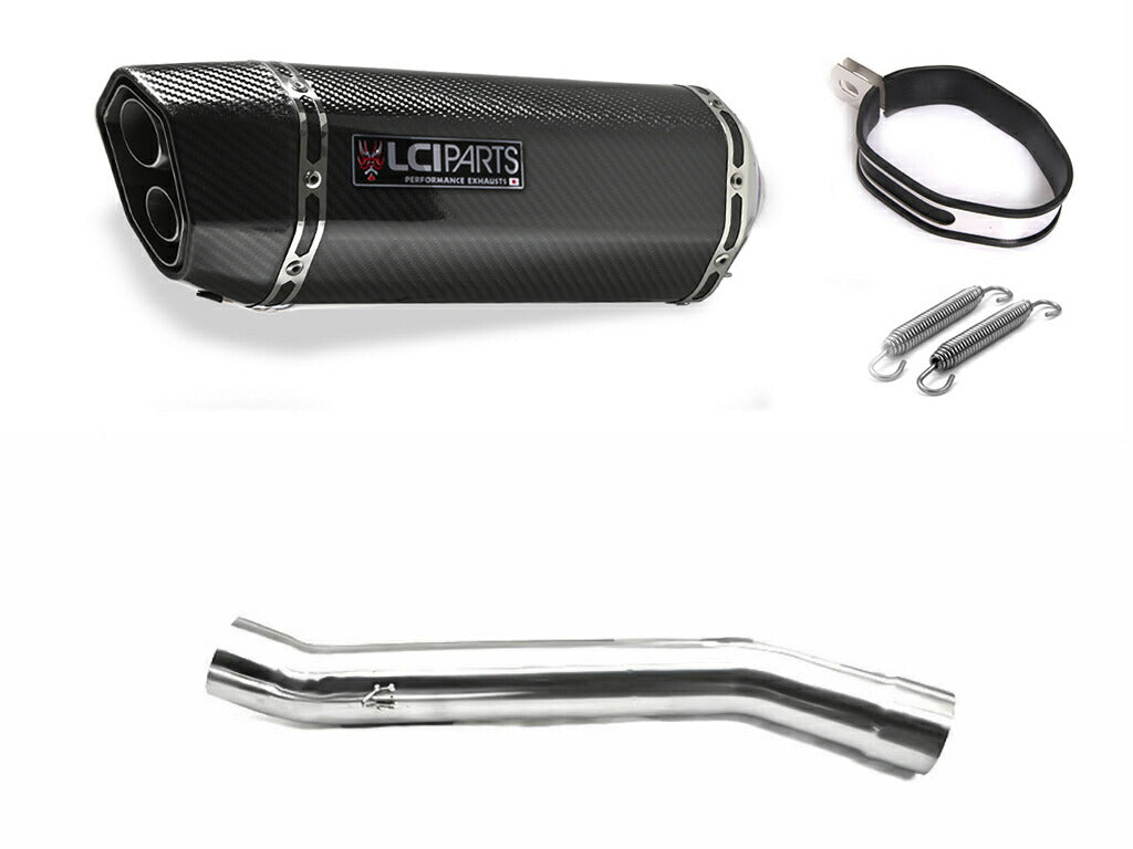 スズキ GS1200SS 2002- LCIPARTS ツインエンド カーボン スリップオンマフラー