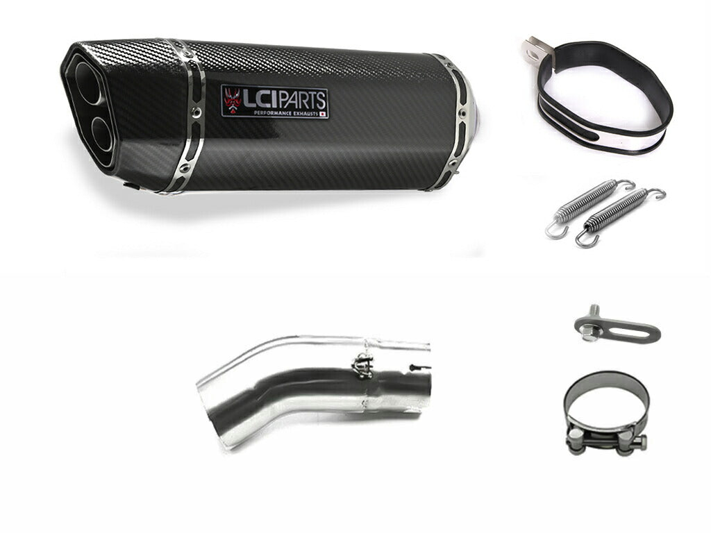 カワサキ NINJA H2 2015-2022 LCIPARTS ツインエンド　カーボン スリップオンマフラー