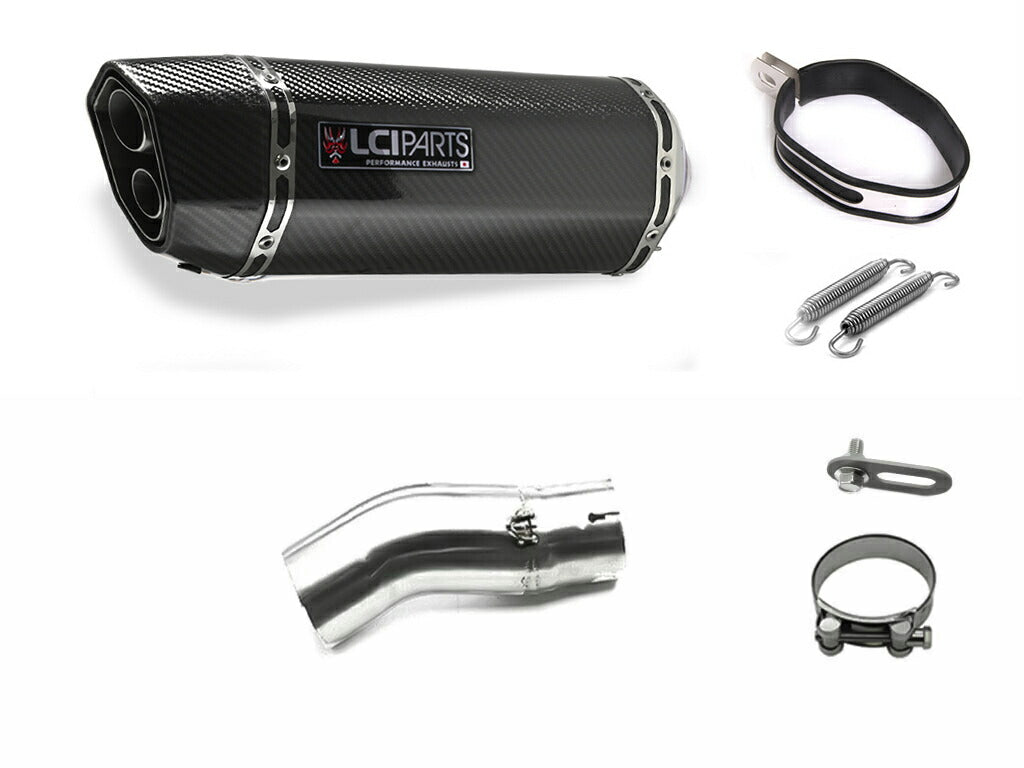 カワサキ NINJA H2SX / H2SX SE 2022-2024 (8BL-ZXT02P) LCIPARTS ツインエンド カーボン スリップオン マフラー