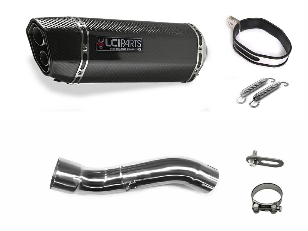 スズキ GSX250R 2017-2023 LCIPARTS ツインエンド カーボン スリップオン マフラー