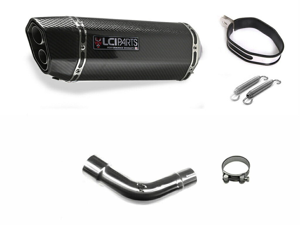 スズキ SV650 2016-2023 LCIPARTS ツインエンド カーボン スリップオン マフラー